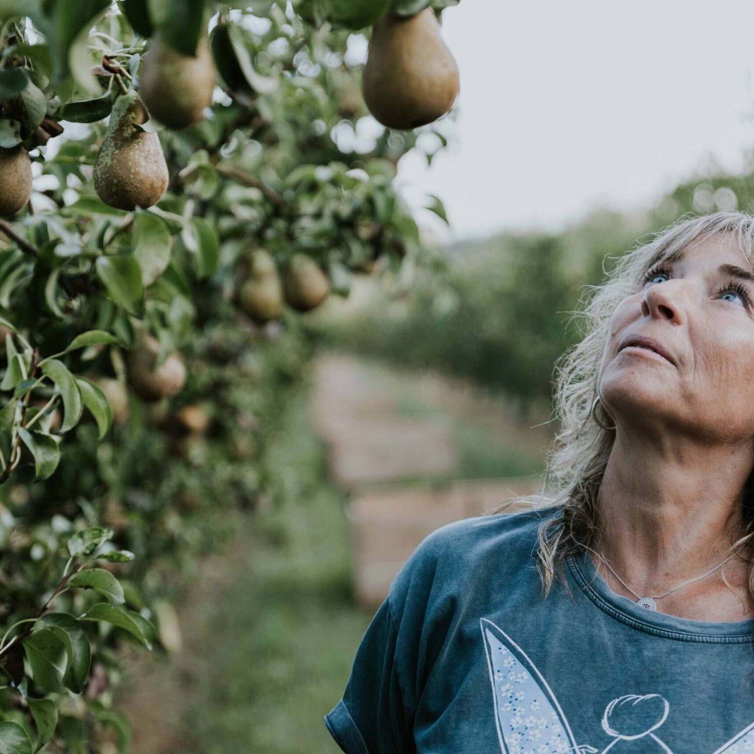 FOTOGRAFIAS_RECOLECCION-46