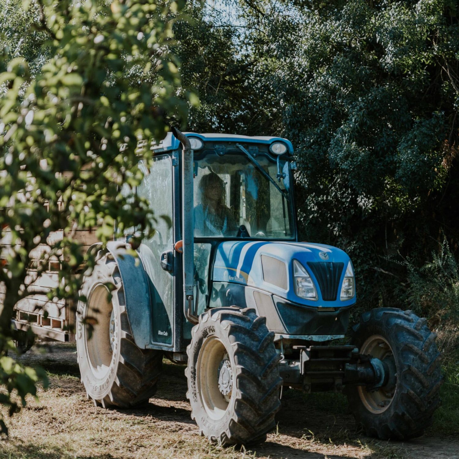 FOTOGRAFIAS_RECOLECCION-84